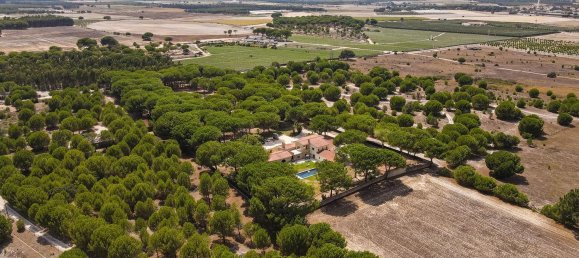 Дом с 7 спальнями в Монтижу, Португалия № 140209 6