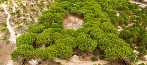 Дом с 7 спальнями в Монтижу, Португалия № 140209 13