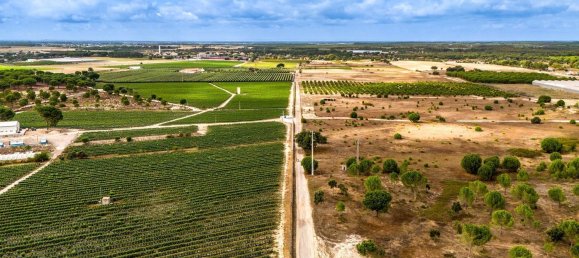 Дом с 7 спальнями в Монтижу, Португалия № 140209 12