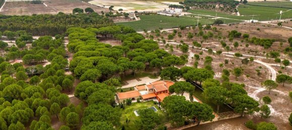 Дом с 7 спальнями в Монтижу, Португалия № 140209 8