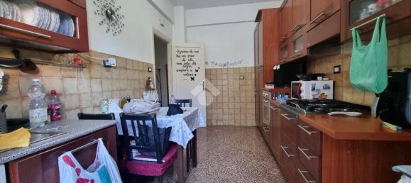 1 bedroom Apartment in Genoa, Italy No. 231881 9