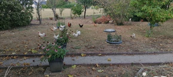 Таунхаус с 3 спальнями в Моран, Франция № 326879 11