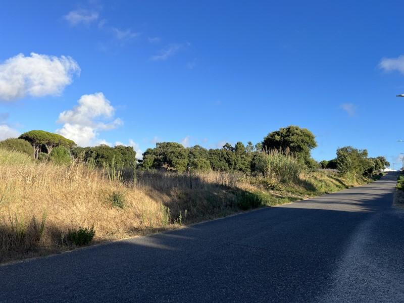 2220m² Land in Caldas da Rainha, Portugal No. 281371