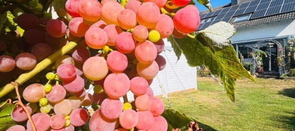 8 rooms House in Celle, Germany No. 358458 6