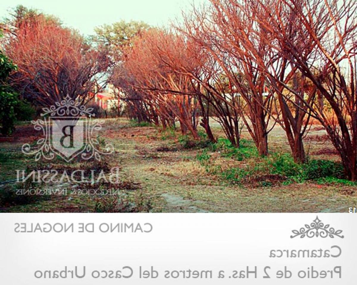  Land in Catamarca, Argentina No. 37147