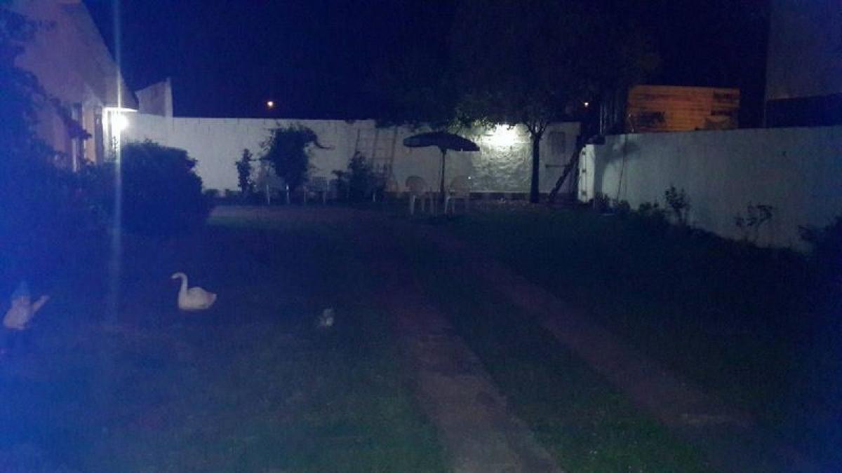 2 bedrooms House in Mar del Plata, Argentina No. 69533