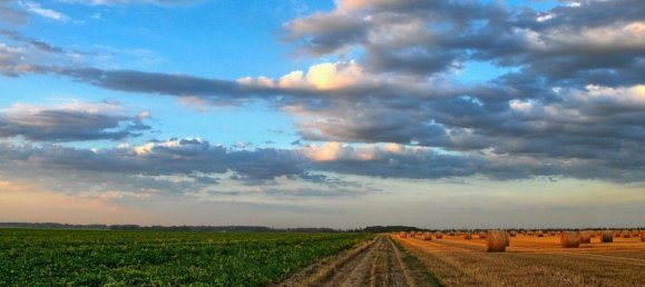 3 rooms Apartment in Corbara, Italy No. 97815 21