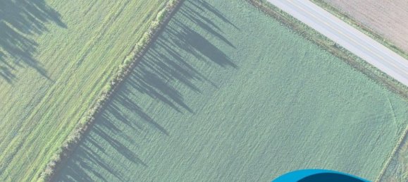 3 rooms Apartment in Corbara, Italy No. 97815 12