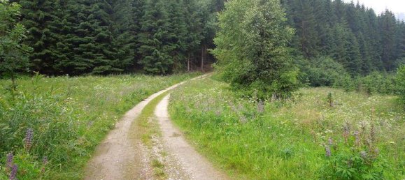 Casa de 3 dormitorios en Winzendorf-Muthmannsdorf, Austria No. 223314 18