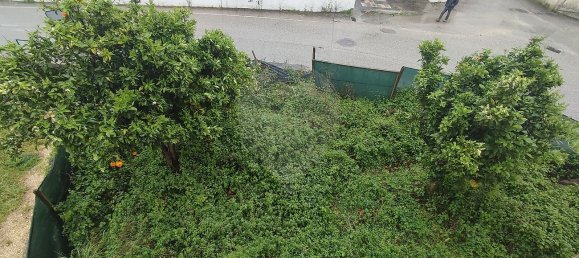 Дом с 4 спальнями в Фигейра да Фош, Португалия № 35948 4