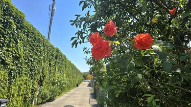 3 rooms House in Simmering, Austria No. 155196