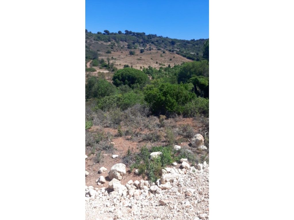 15000m² Land in Loule, Portugal No. 305797