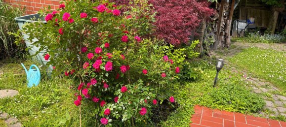 3 غرف نوم تاون هاوس في Bergisch Gladbach, Germany رقم 266158 25