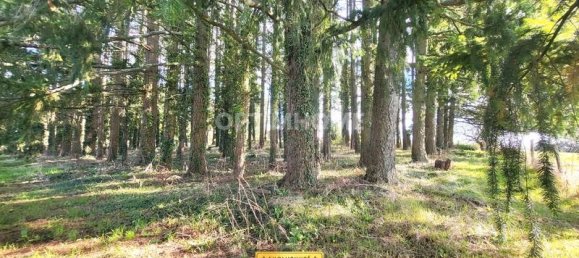 3 bedrooms House in La Chapelle-Hugon, France No. 230028 11