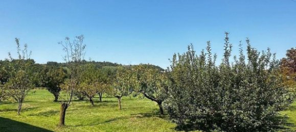 10 bedrooms House in Monale, Italy No. 377882 43