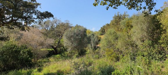 Земельный участок в Кадис, Испания № 72379 5