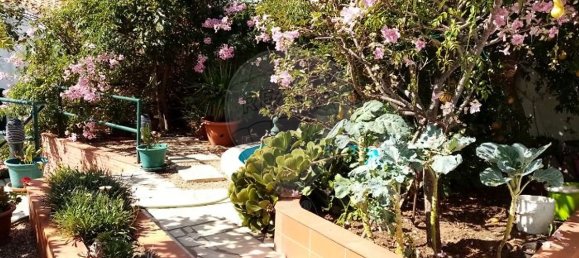 3 bedrooms House in Alvalade, Portugal No. 16862 12