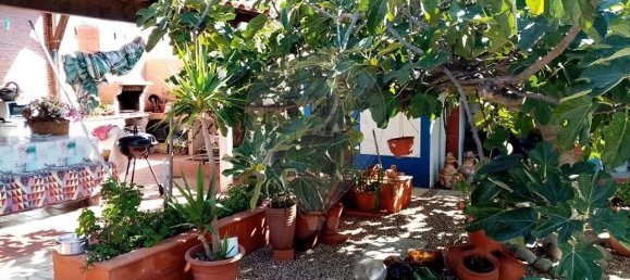 3 bedrooms House in Alvalade, Portugal No. 16862 11