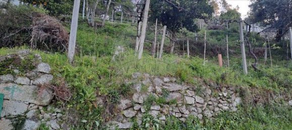 Casa de 3 dormitorios en Arcos de Valdevez, Portugal No. 19303 19