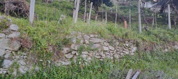 Casa de 3 dormitorios en Arcos de Valdevez, Portugal No. 19303 14