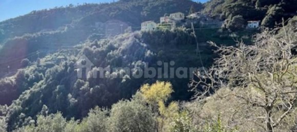 1 bedroom Apartment in Vernazza, Italy No. 36230 23