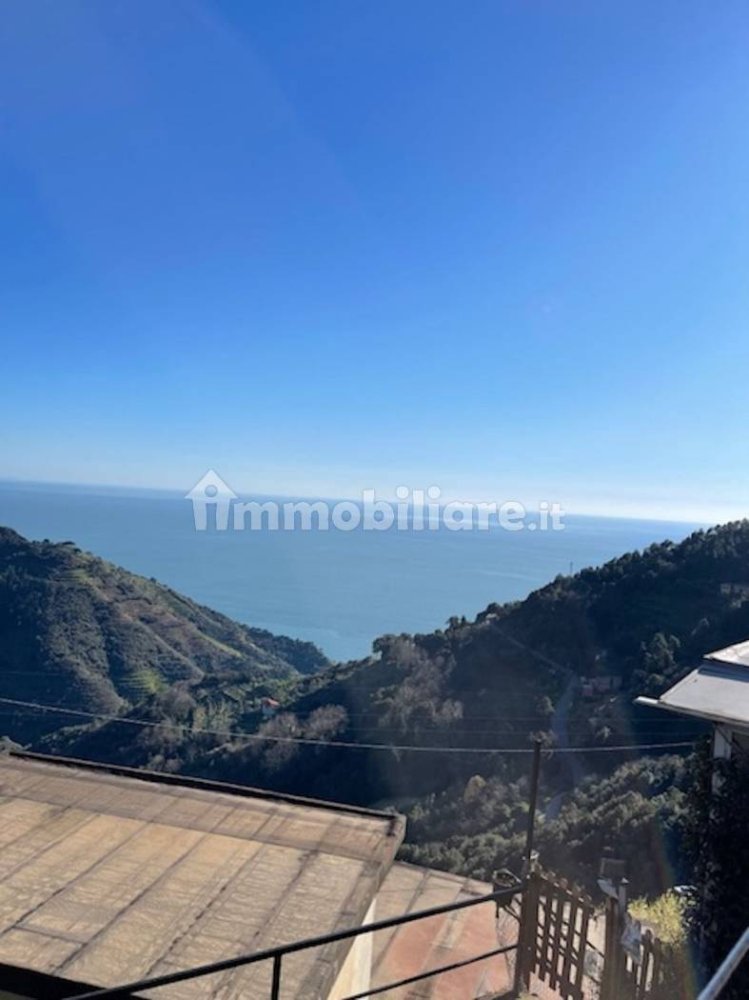 1 bedroom Apartment in Vernazza, Italy No. 36230