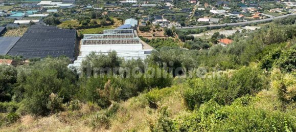 Grundstück in Taggia, Italy 7580m², Nr. 129848 5