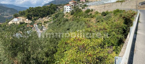 Grundstück in Taggia, Italy 7580m², Nr. 129848 19