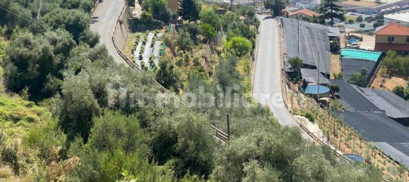 Grundstück in Taggia, Italy 7580m², Nr. 129848 6