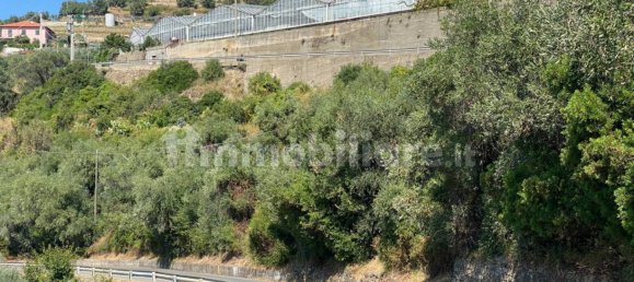 Grundstück in Taggia, Italy 7580m², Nr. 129848 14