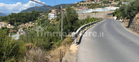 Grundstück in Taggia, Italy 7580m², Nr. 129848 18