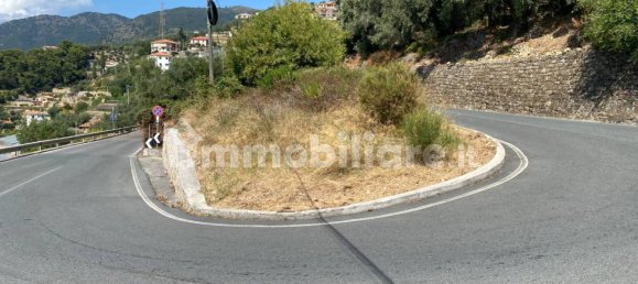 Grundstück in Taggia, Italy 7580m², Nr. 129848 11