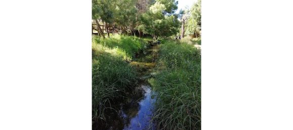 4 bedrooms House in Cascais, Portugal No. 170750 30