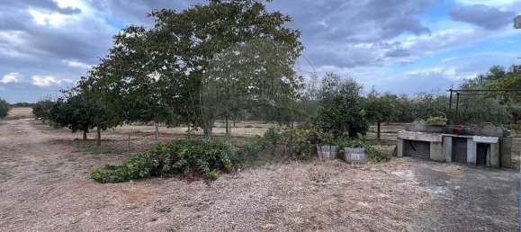 Studio in Sousel, Portugal No. 70626 19