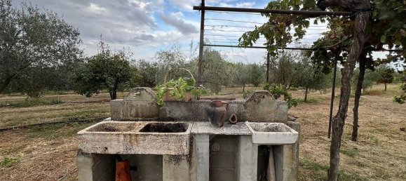 Studio in Sousel, Portugal No. 70626 10