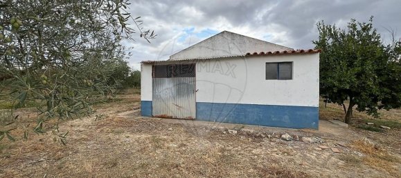 Studio in Sousel, Portugal No. 70626 11