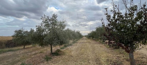 Studio in Sousel, Portugal No. 70626 21