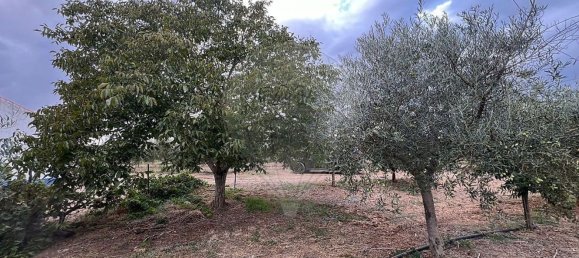 Studio in Sousel, Portugal No. 70626 18