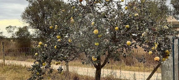 Studio in Sousel, Portugal No. 70626 28