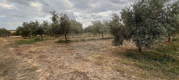 Studio in Sousel, Portugal No. 70626 24