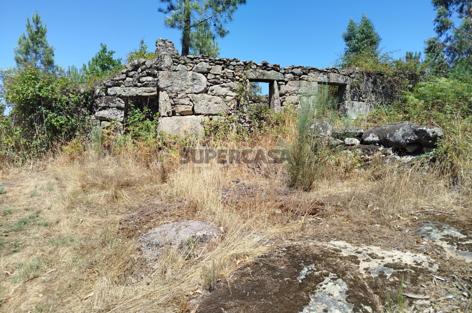 Terrain à Abrunhosa a Velha, Portugal 150m² No. 252571
