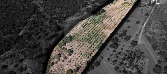 4 غرف نوم منزل في Tramagal, Portugal رقم 30221 5