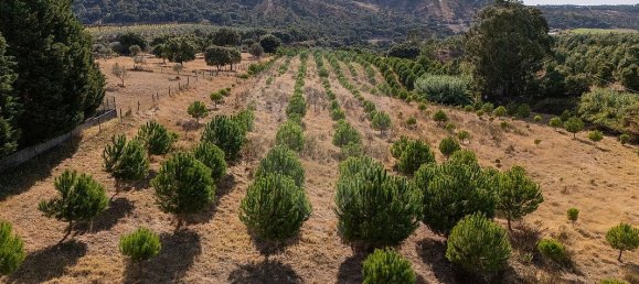 4 غرف نوم منزل في Tramagal, Portugal رقم 30221 11