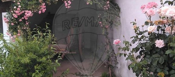 4 غرف نوم منزل في Tramagal, Portugal رقم 30221 47