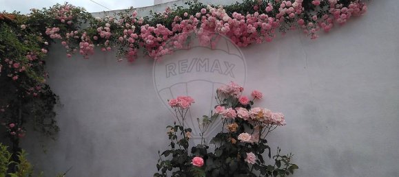 4 غرف نوم منزل في Tramagal, Portugal رقم 30221 46