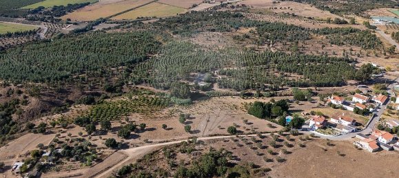 4 غرف نوم منزل في Tramagal, Portugal رقم 30221 6