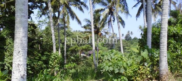 Grundstück in Ubud, Indonesia 15000m², Nr. 3856 12