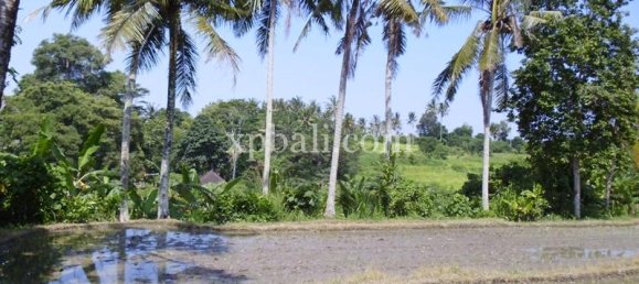Grundstück in Ubud, Indonesia 15000m², Nr. 3856 7