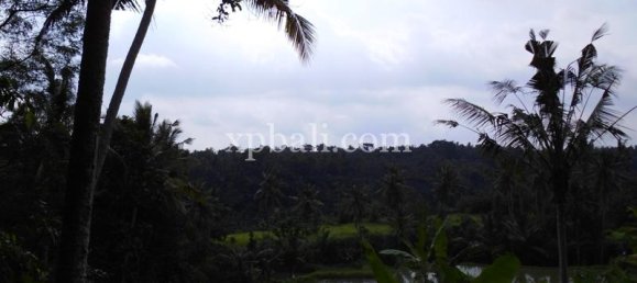 Grundstück in Ubud, Indonesia 15000m², Nr. 3856 16