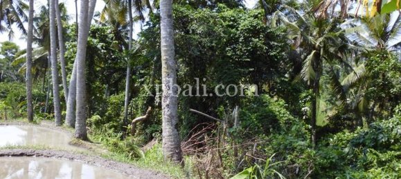 Grundstück in Ubud, Indonesia 15000m², Nr. 3856 13